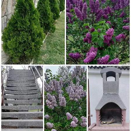 House Elan Apartment Kornić