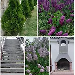 House Elan Apartment Kornic